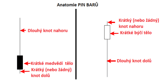 Anatomie Pin Baru