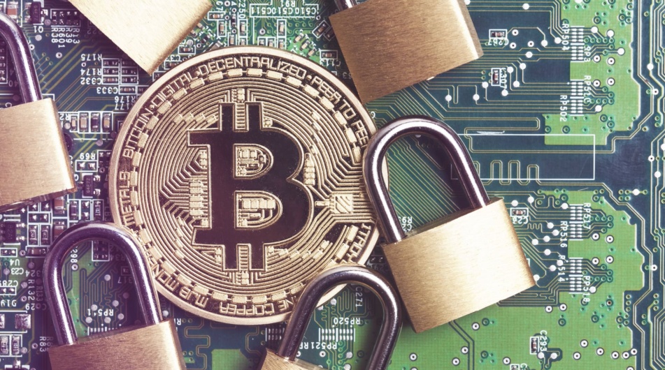 Populární krypto peněženka rozšiřuje nabídku! Co je nového?