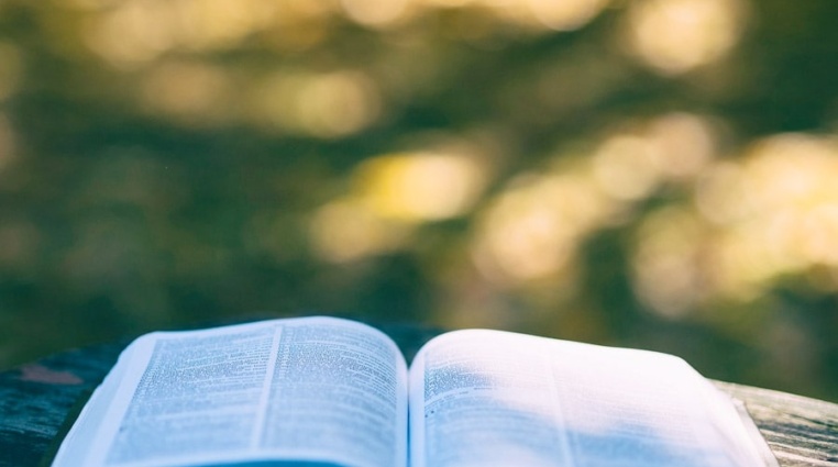 Kniha: 10 zlatých pravidel pro forex