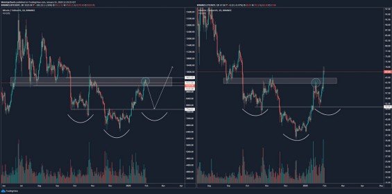 Porovnání a analýza bitcoin/litecoin