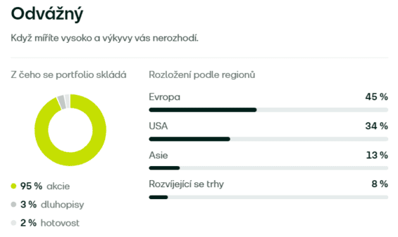 Složení portfolia s odvážným investičním profilem