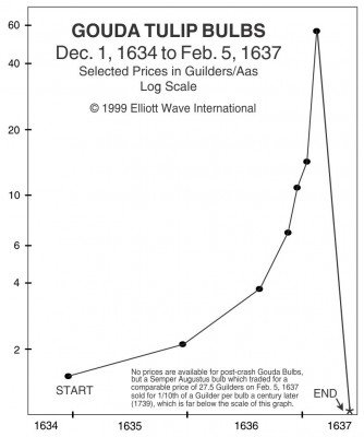 Vývoj ceny cibulek tulipánů Gouda