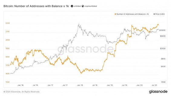 Počet adres vlastnících 1000 BTC a více