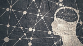 (9) Kurz psychologie tradingu: Kognitivní zkreslení aneb chyby v myšlenkových procesech