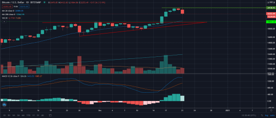 Vývoj ceny BTC na denním grafu