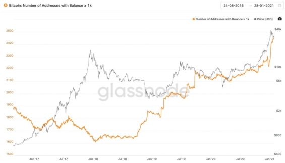 Počet adres s více než 1000 BTC od roku 2018 stoupá