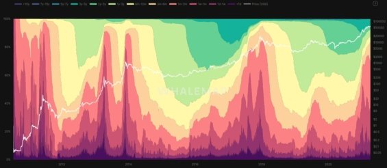 K vrcholům cyklů obvykle dochází, když většinu tržní kapitalizace drží krátkodobí hodleři, ne hodleři dlouhodobí