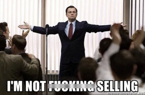 Kryptoměnová investice - not selling