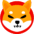 shiba inu