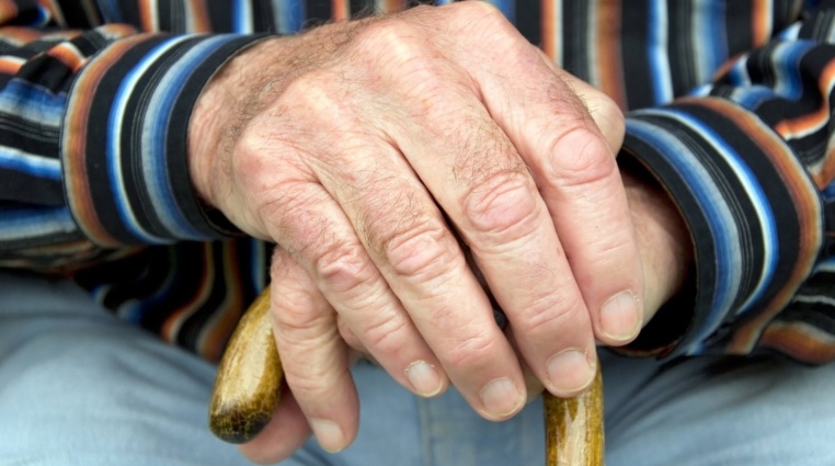 Penzijní systém v Česku – Jak fungují důchodové pilíře a jaký je jejich význam?