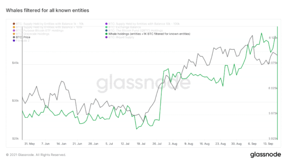 BTC velryby stále akumulují