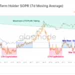 Chování dlouhodobých hodlerů