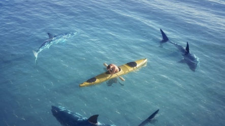 Sháníte půjčku? Poznejte triky neférových nebankovních společností a vyhněte se jim obloukem