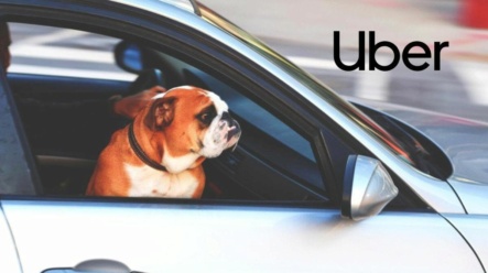 Uber očekává rekordně úspěšné 4. čtvrtletí! Objednávky a zisky strmě rostou!