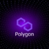 Pro více informací si přečtěte profil kryptoměny Polygon (MATIC).
