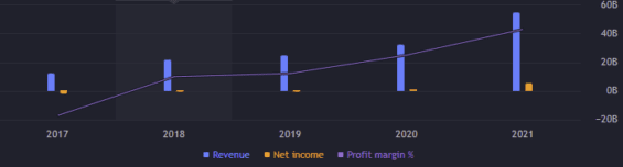 Výnosy a zisk za jednotlivé roky. 