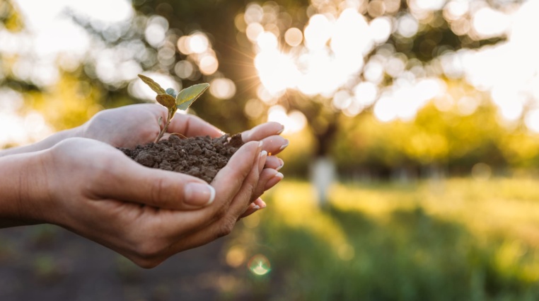 Obří lednový růst cen výrobců – Zejména v zemědělství
