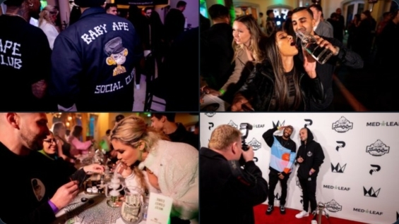 Baby Ape Social Club Party