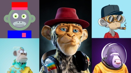 Nemáte miliony na koupi NFT Bored Apes Yacht Club? Zde je 5 nejlepších opičích alternativ (zatím) za rozumnou cenu!