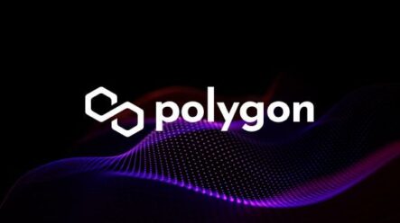 Polygon nefungoval více než 11 hodin! Co za tím stálo?