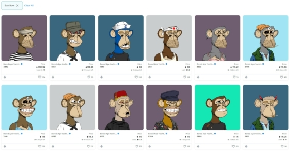 Bored Apes Yacht Club