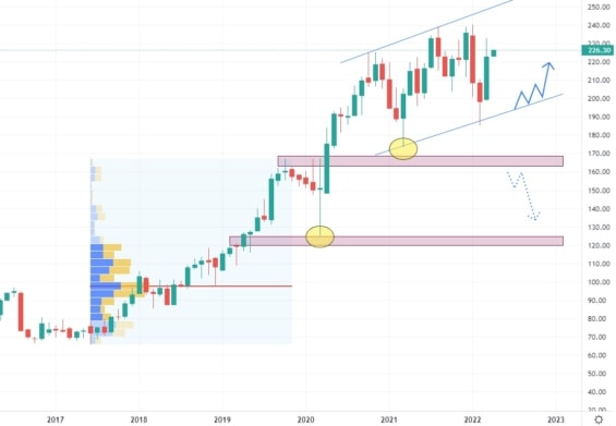 Měsíční akciový graf společnosti Dollar General