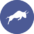 polymath kryptomena