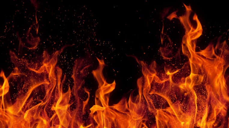 Hnutí FIRE! Jak mladí bohatí investoři mění pravidla hry?