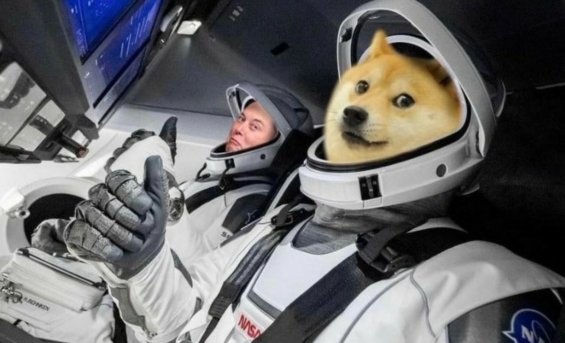 DOGE-1 MUSK MOON