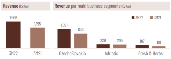 Výnosy z jednotlivých segmentů