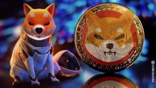 Shiba Inu meme coin