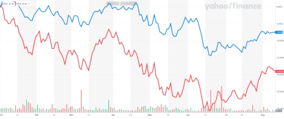 Zatímco hodnotové akcie z indexu S&P 500 v letošním roce odepsaly o 7,52 %, růstové akcie se propadly o 19,07 %.