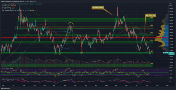 Denní graf futures trhu na zlato