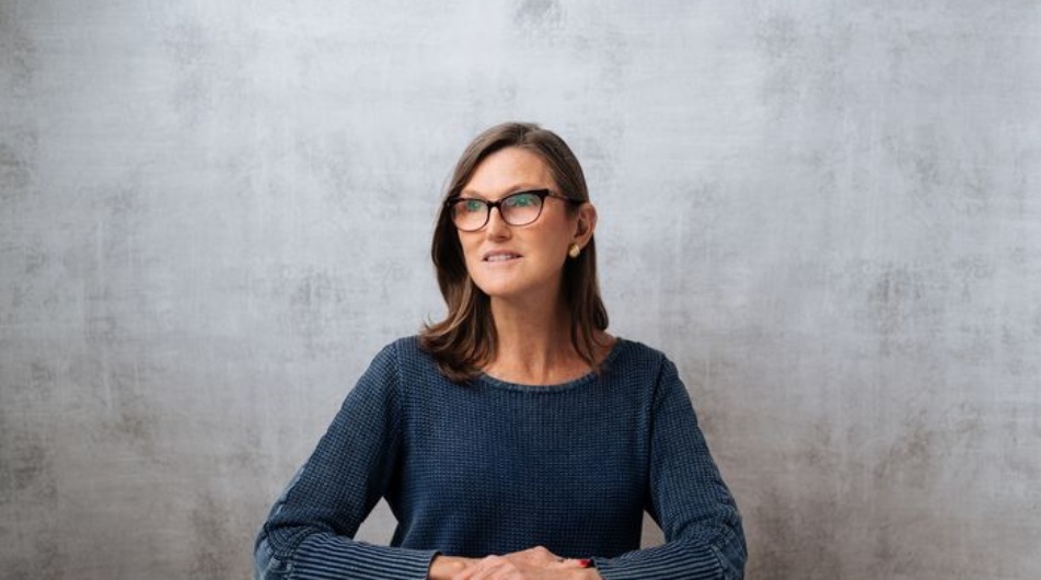 Cathie Wood a její akcioví favorité – Proč byste se o ně měli také zajímat?