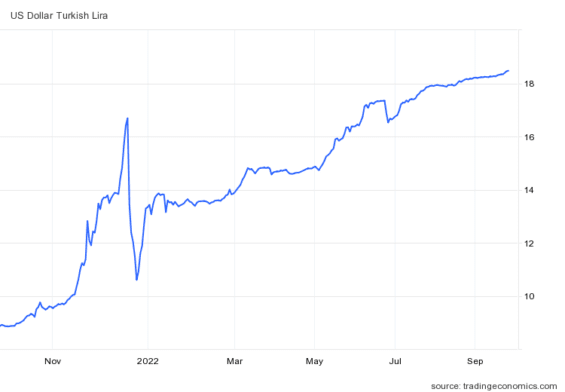 Vývoj turecké liry vůči dolaru za poslední rok