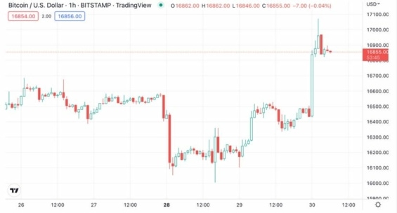 Cena BTC na burze Bitstamp