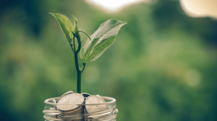 Jsou toto top kryptoměny, do kterých investovat během roku 2022?