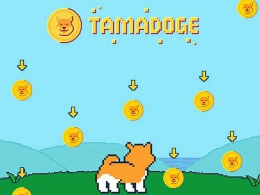 Tamadoge
