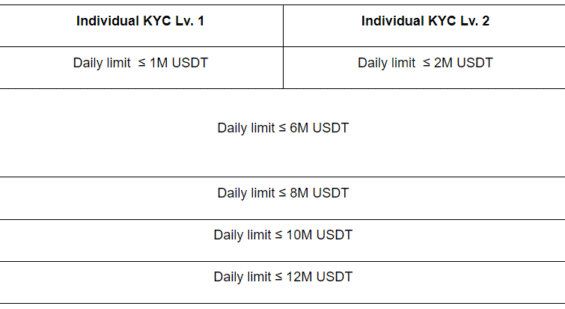 Bybit KYC new