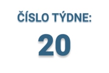 číslo týdne