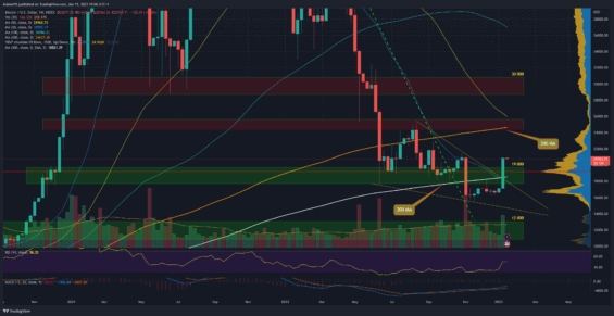 Kurz bitcoinu na týdenním grafu
