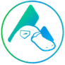 Logo Platypus Finance