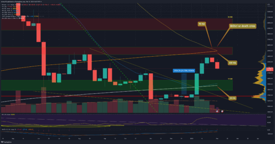 Bitcoin na týdenním grafu