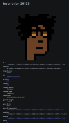 Bitcoin Punk 6877 se svým inscription s číslem 26125