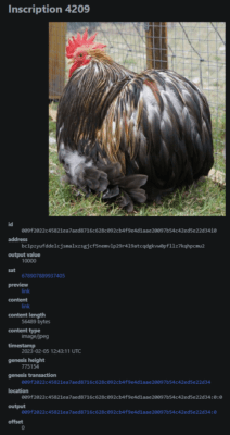 Ordinals inscription s číslem 4209