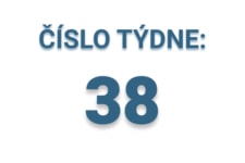 číslo týdne