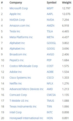 Přehled dvaceti nejdůležitějších společností v akciovém indexu NASDAQ