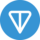 Logo TON