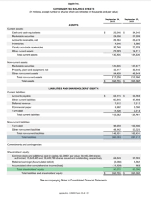 Konsolidovaná rozvaha společnosti Apple za rok 2022