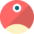 Logo pNetwork